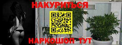 не бодяженный Новозыбков