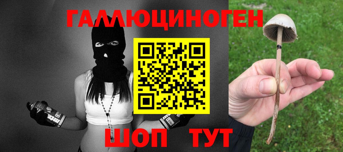 Псилоцибиновые грибы мухоморы  Вход с VPN  Сокол  Галлюциногенные грибы Psilocybe 